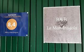 B&B La Mandragola